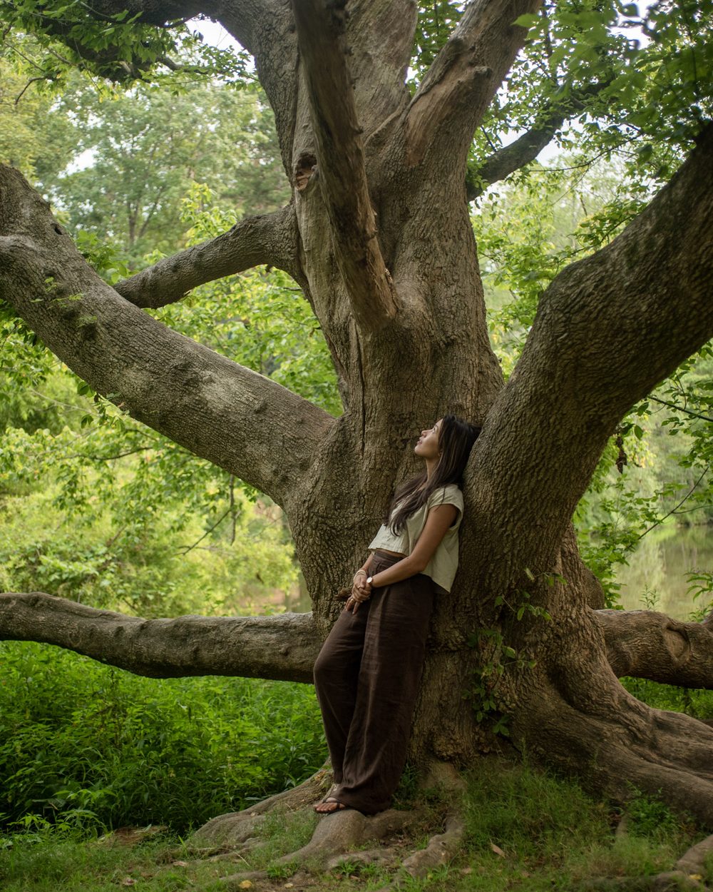 Michal resting against a great tree, gazing upward toward the light